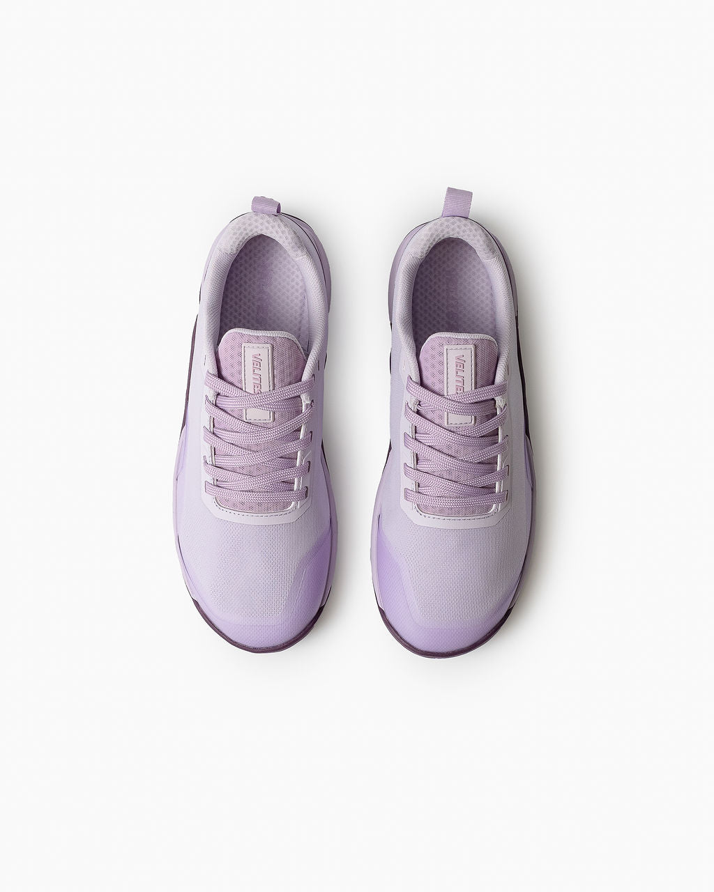 #color_purple